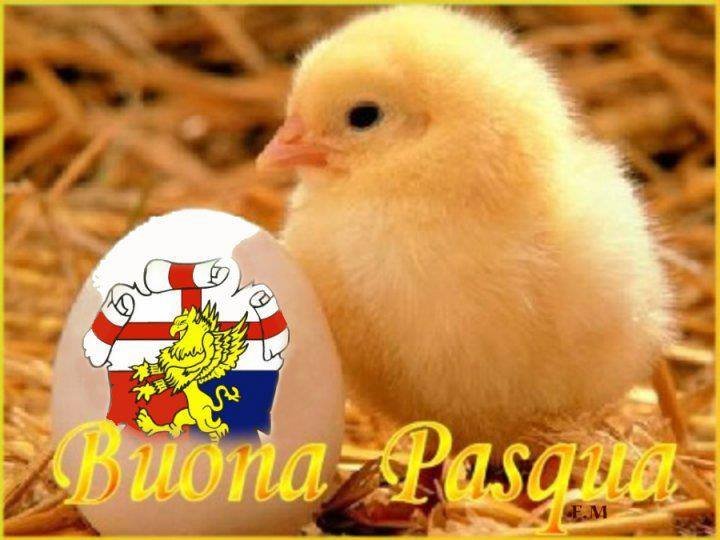 A U G U R I   D I   B U O N A   P A S Q U A 